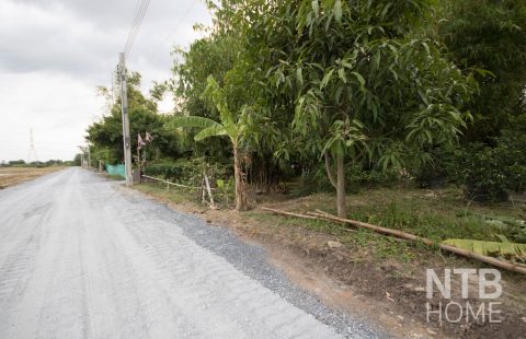 ที่ดิน ทำเล ไทรน้อย ทำเลสงบ