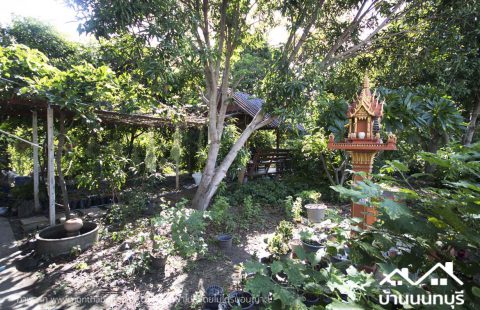 (ขายแล้ว) ที่ดิน พระราม 5 ทำเลดี