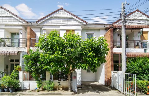 (ขายแล้ว) หมู่บ้านทิพย์พิมาน บ้านริมน้ำ ถ.เลียบคลองบางไผ่ ใกล้เซ็นทรัลเวสต์เกต