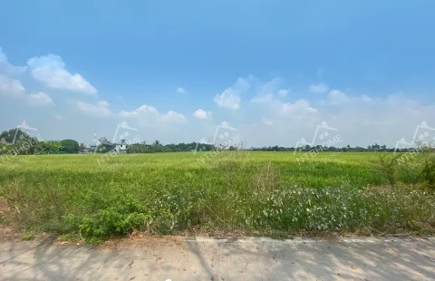 ขายที่ดิน 11 ไร่ 2 งาน ลาดหลุมแก้ว ปทุมธานี ใกล้ตลาดระแหง ๑๐๐ ปี