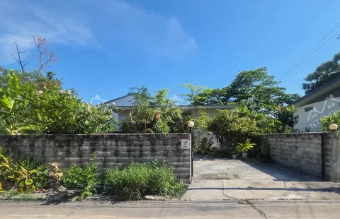 บ้านเดี่ยวชั้นเดียว รอยัลปาร์คแลนด์ ท่าอิฐ ทำเลดีใกล้รถไฟฟ้าสายสีม่วง