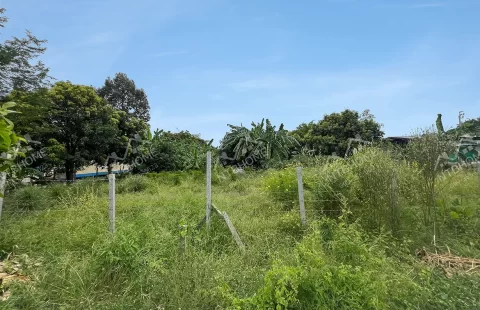 ที่ดิน วัดบางไกรใน-ตะระเก (2 ไร่ 3 งาน 36 ตร.ว.) ทำเลดีเดินทางสะดวก ใกล้เซ็นทรัล เวสต์วิลล์